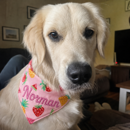 Personalized Pet Bandana, Custom Embroidered Dog Bandana, Cute Name Bandana for Dogs and Cats