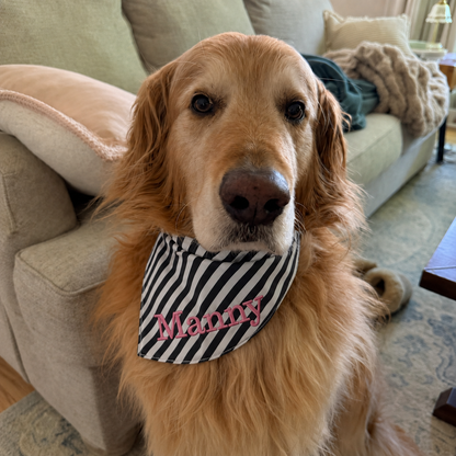 Personalized Pet Bandana, Custom Embroidered Dog Bandana, Cute Name Bandana for Dogs and Cats