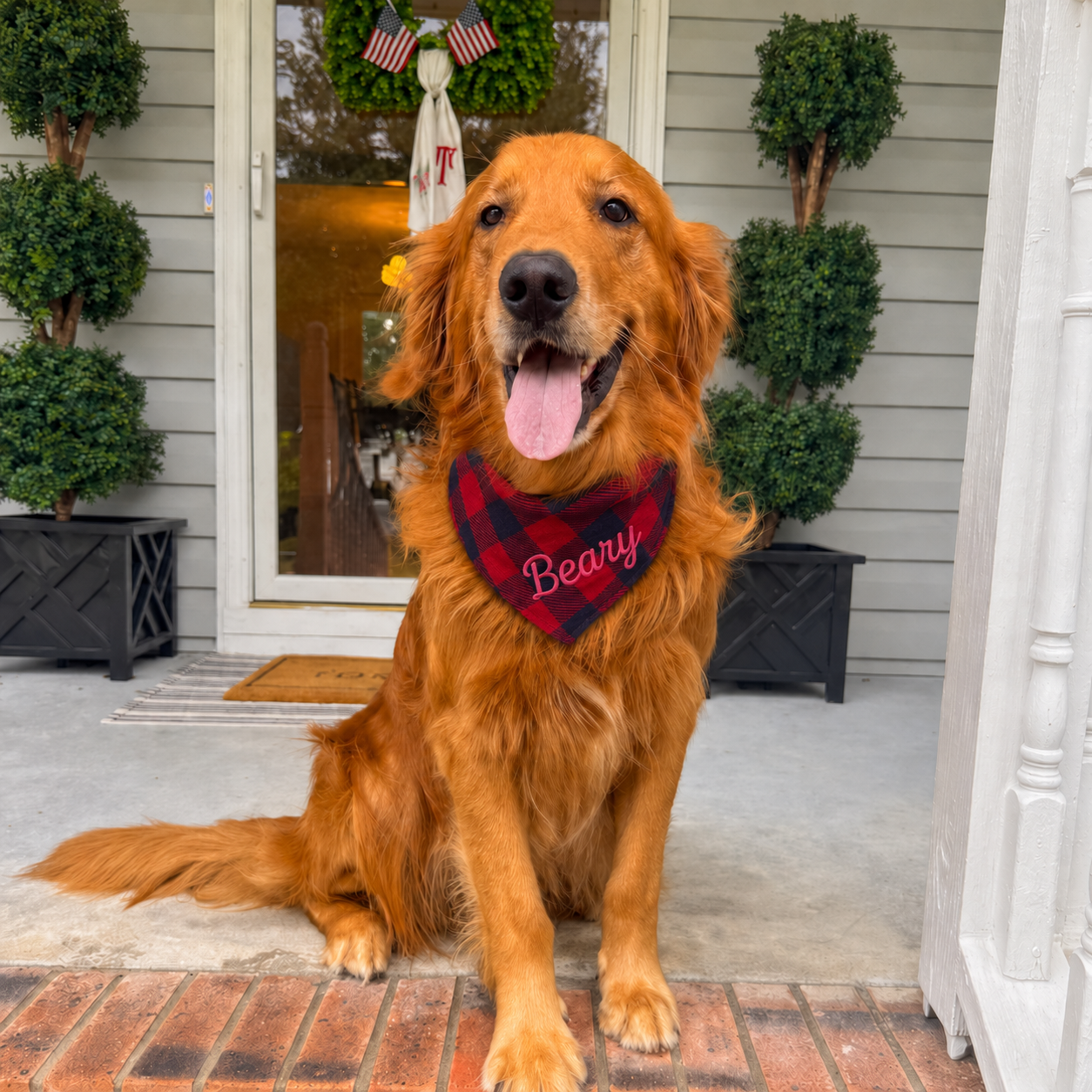 Personalized Pet Bandana, Custom Embroidered Dog Bandana, Cute Name Bandana for Dogs and Cats